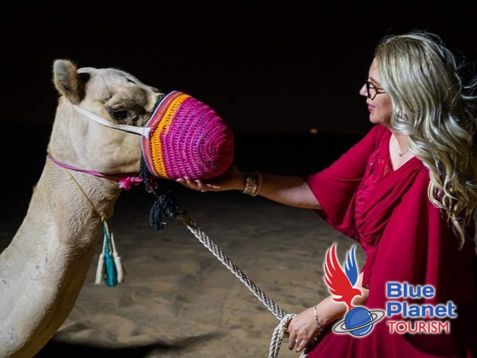 Today I present to you Marta, the gentlest camel in the desert data/uploads/2022/12/image_950x_63974078dd0ba.jpg